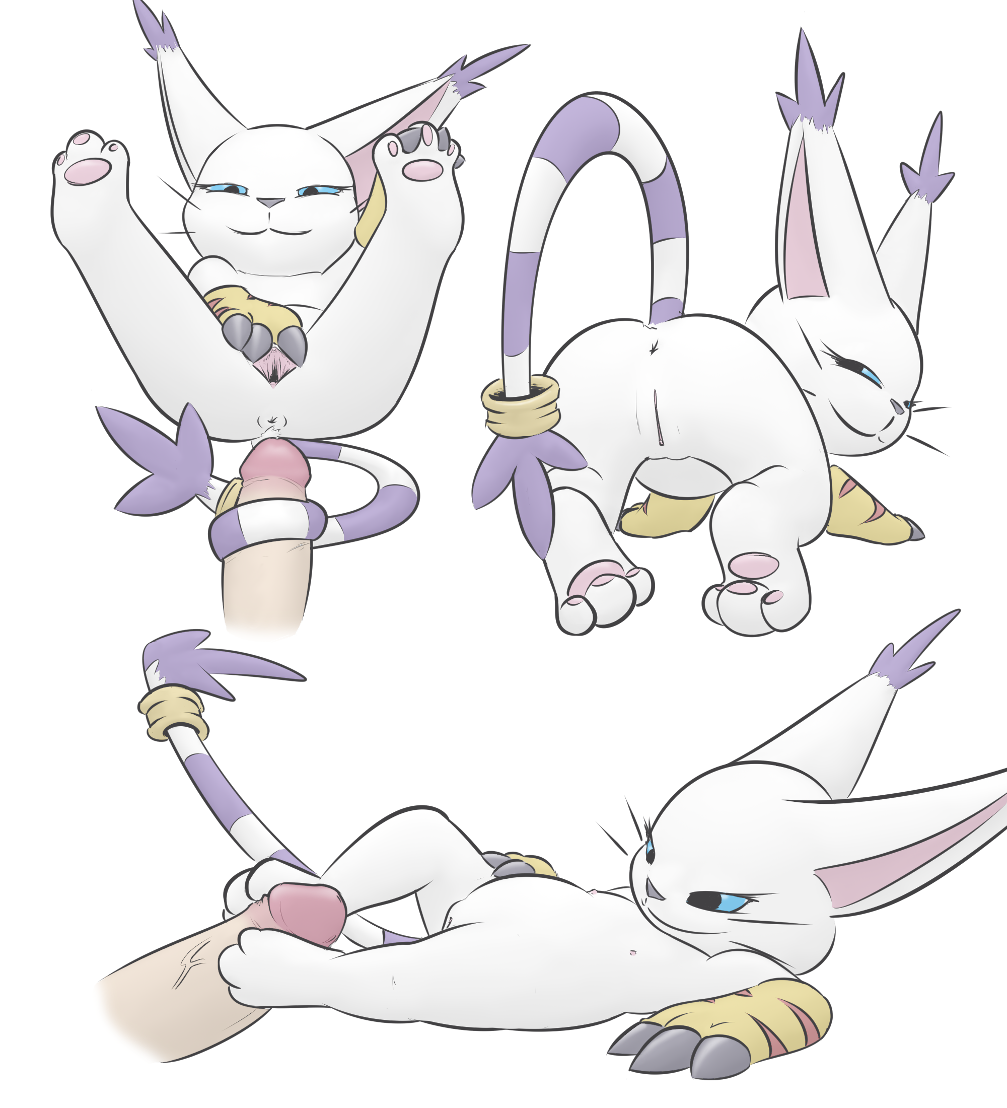 Gatomon (Digimon) Rule 34 Image