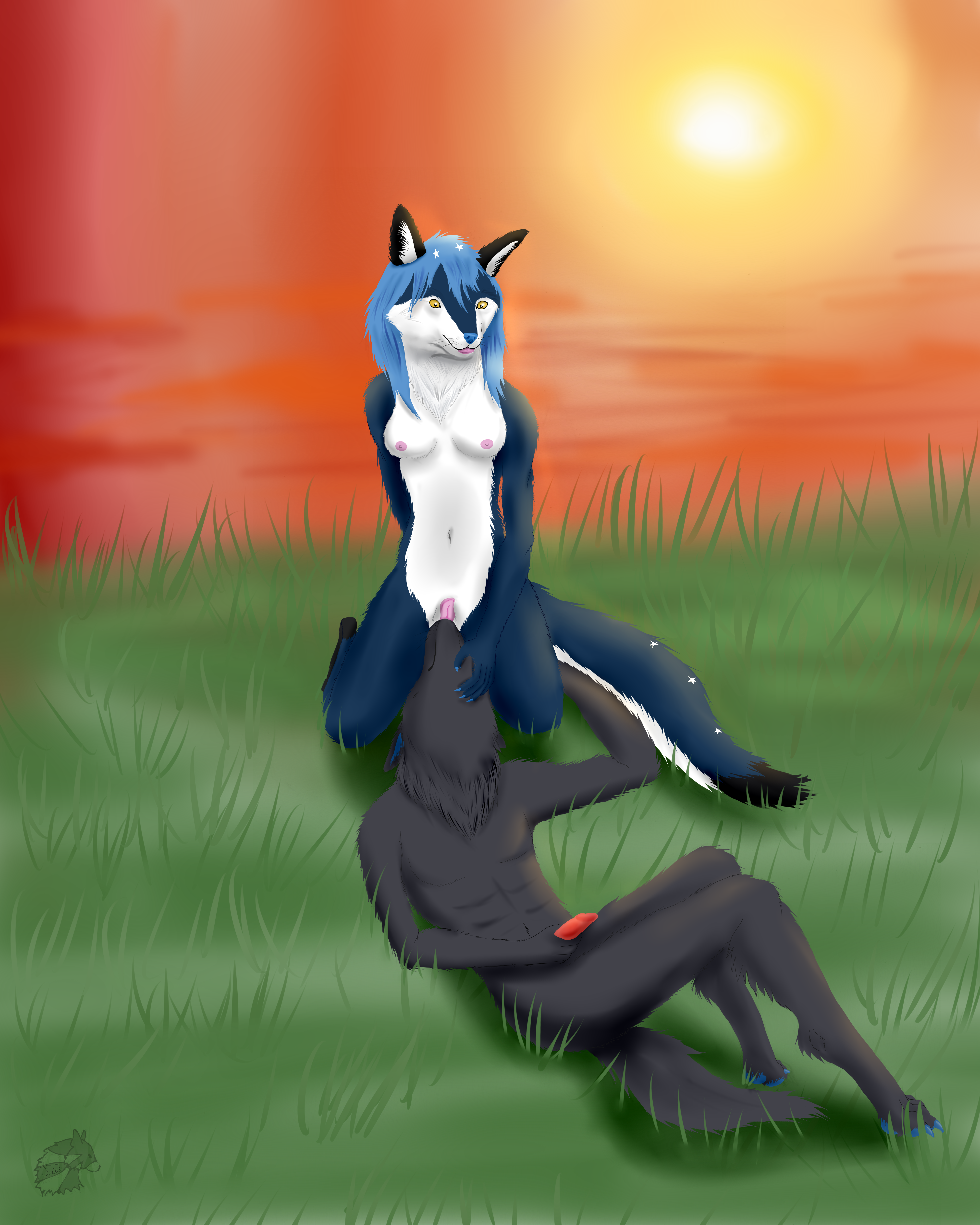 Canine Rule 34 Image