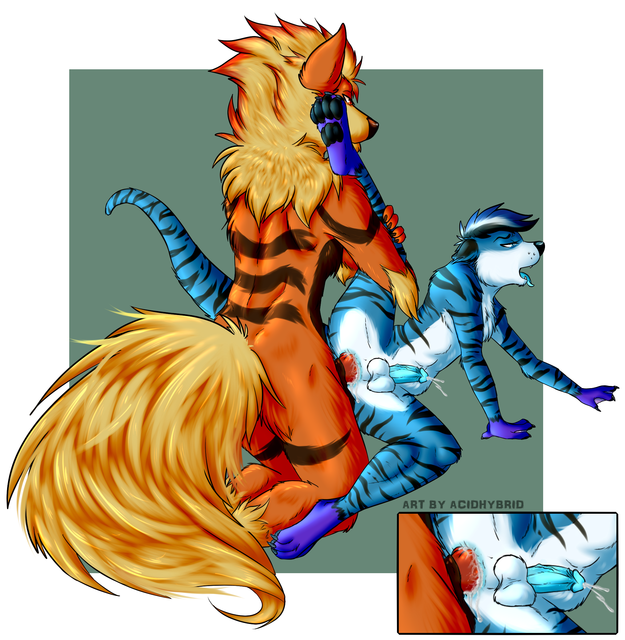 Arcanine (Nintendo) Rule 34 Image