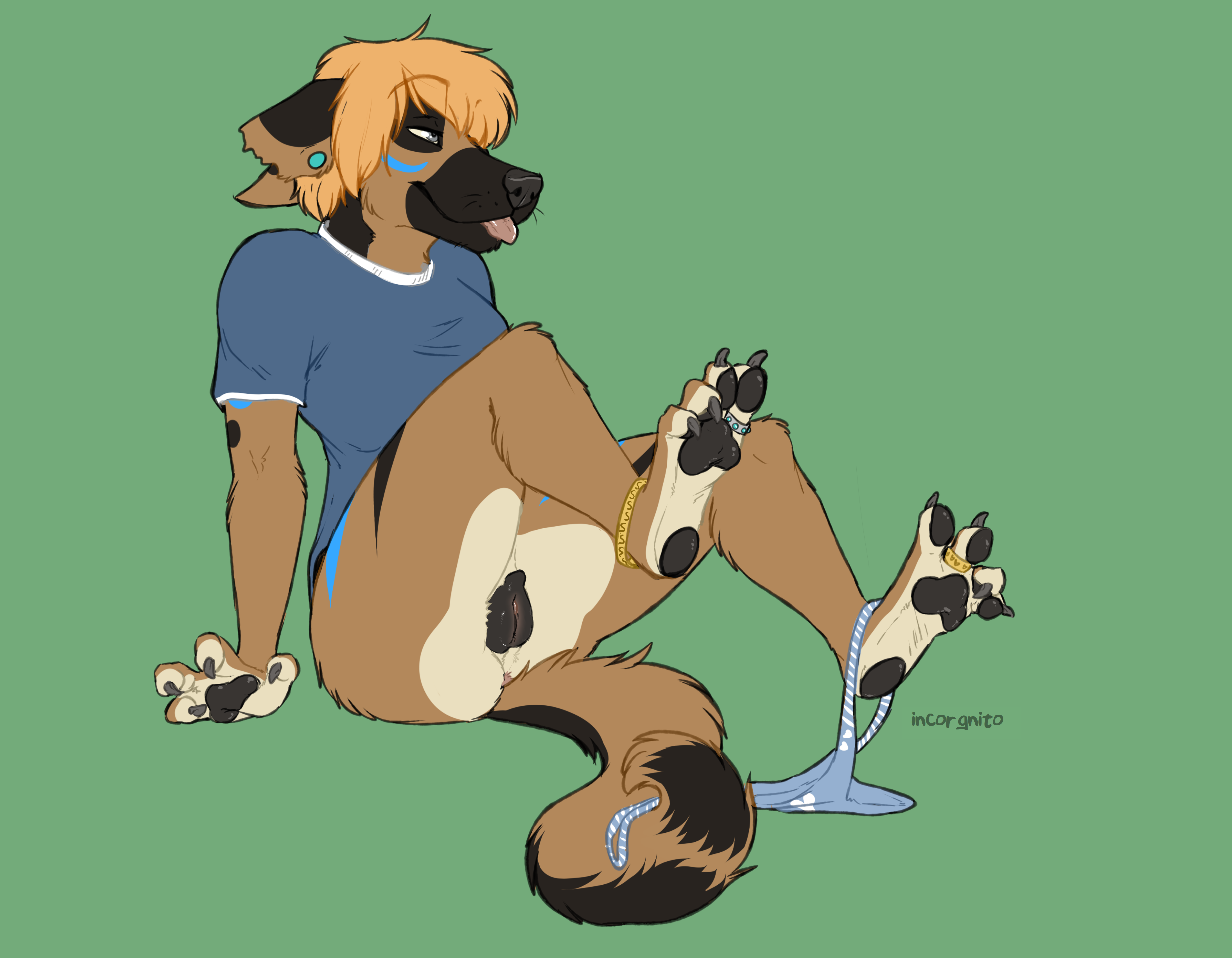 Skylar (Incorgnito) Rule 34 Image