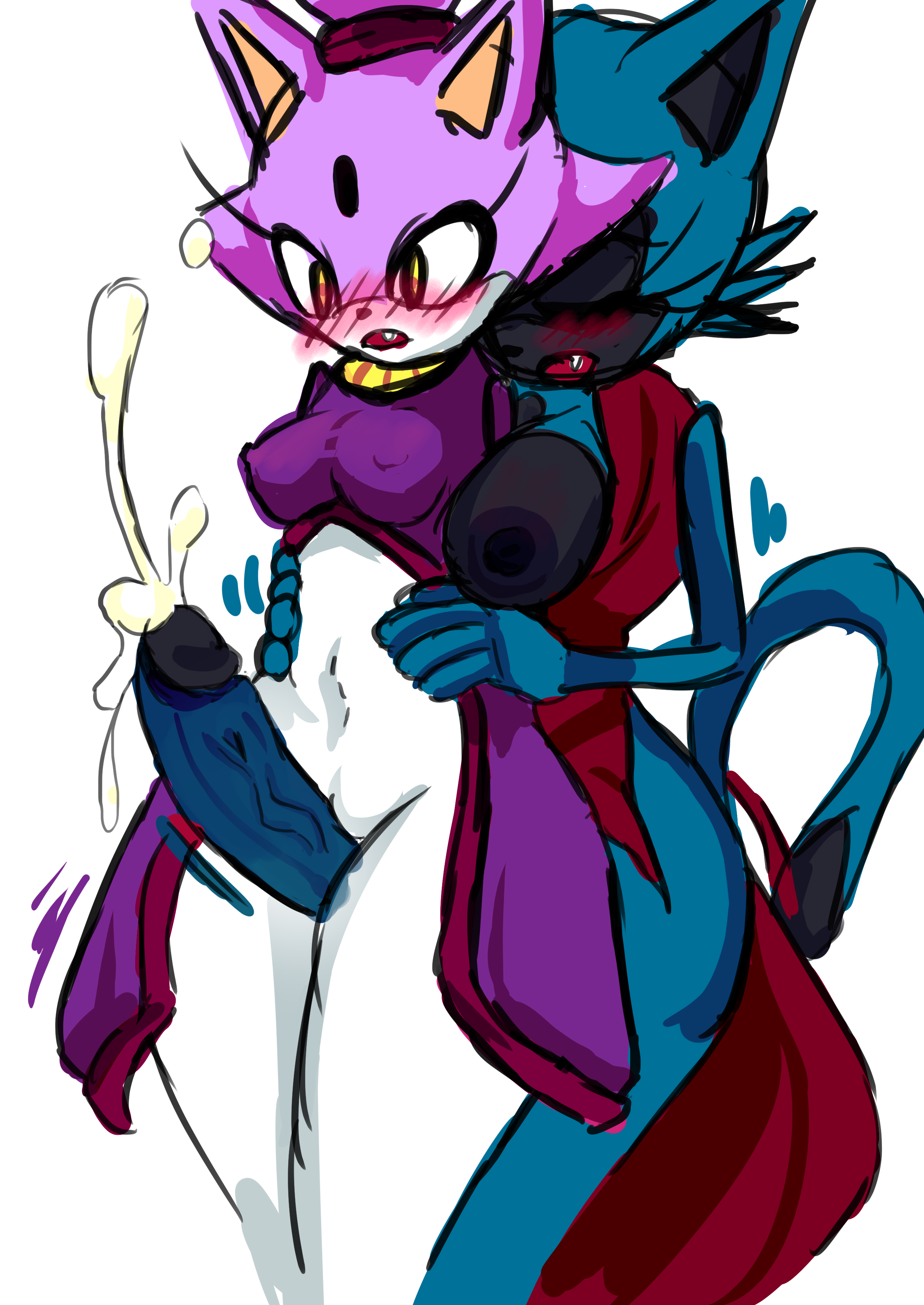 Blaze The Cat (Sega) Rule 34 Image