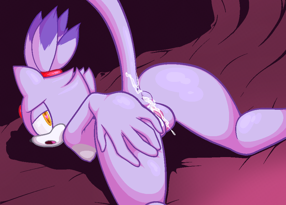 Blaze The Cat (Sonic (Series)) Rule 34 Image