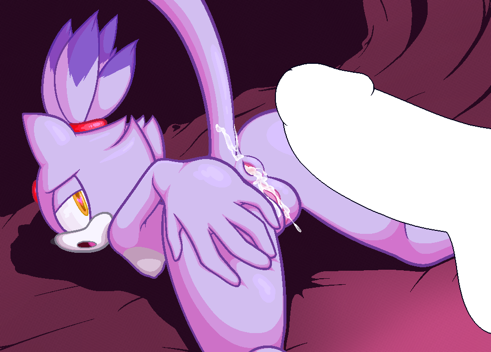 Blaze The Cat (Sonic (Series)) Rule 34 Image