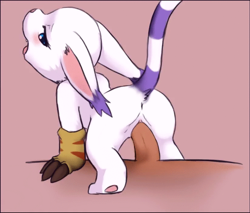 Gatomon (Digimon) Rule 34 Image