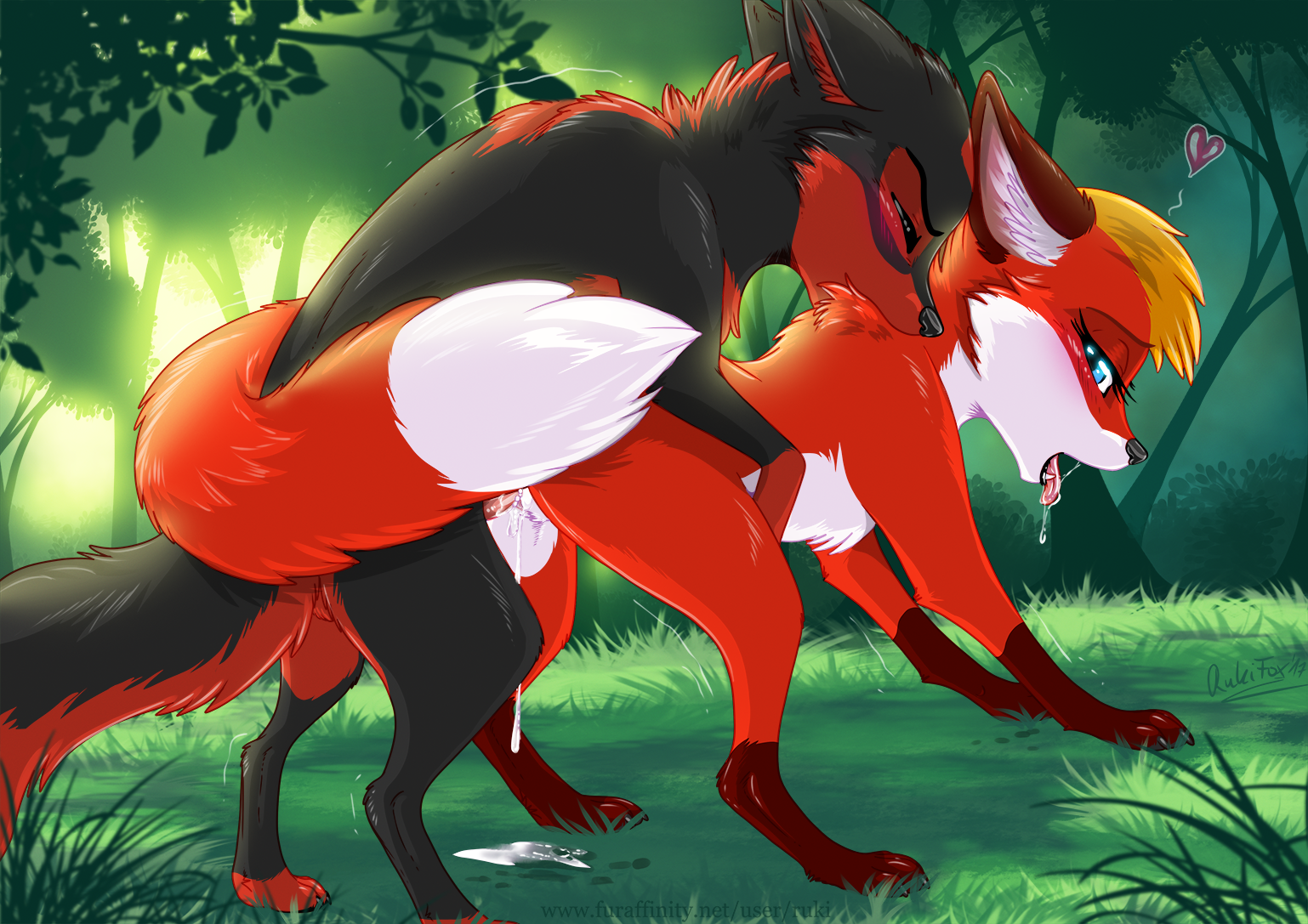 Original Character (Tsume Shiro) Rule 34 Image