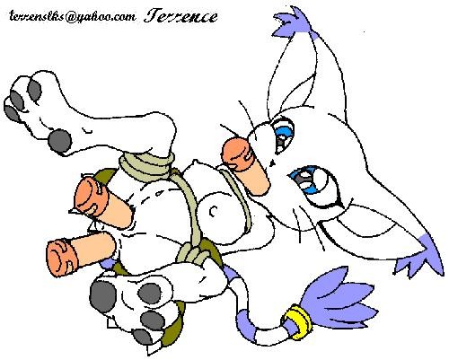 Gatomon (Digimon) Rule 34 Image