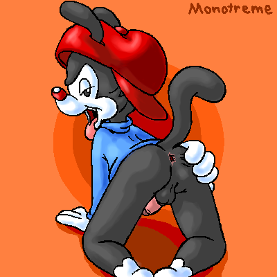 Wakko Warner (Animaniacs) Rule 34 Image