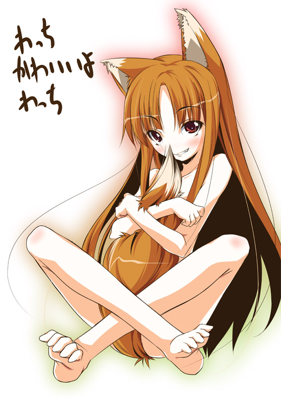 Holo (Spice And Wolf) Rule 34 Image