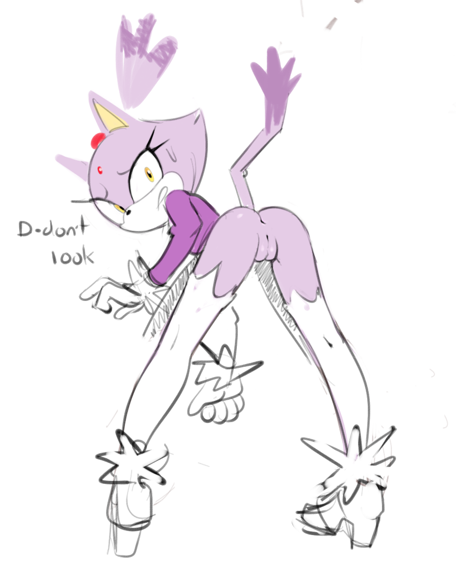 Blaze The Cat (Sonic (Series)) Rule 34 Image