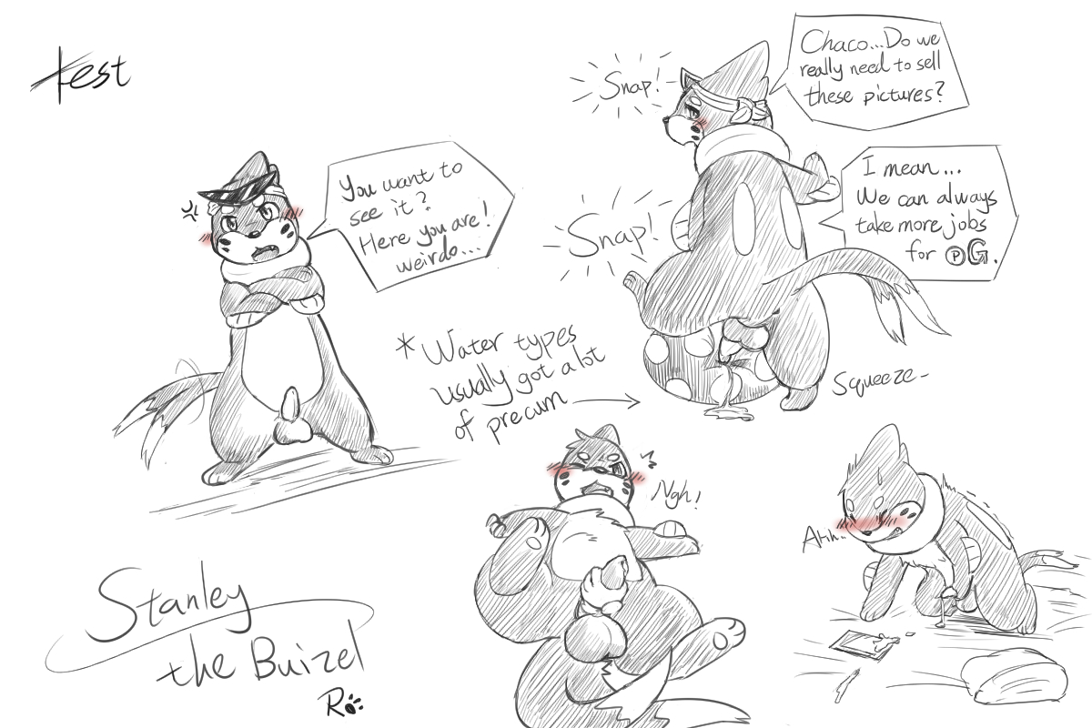 Buizel (Nintendo) Rule 34 Image