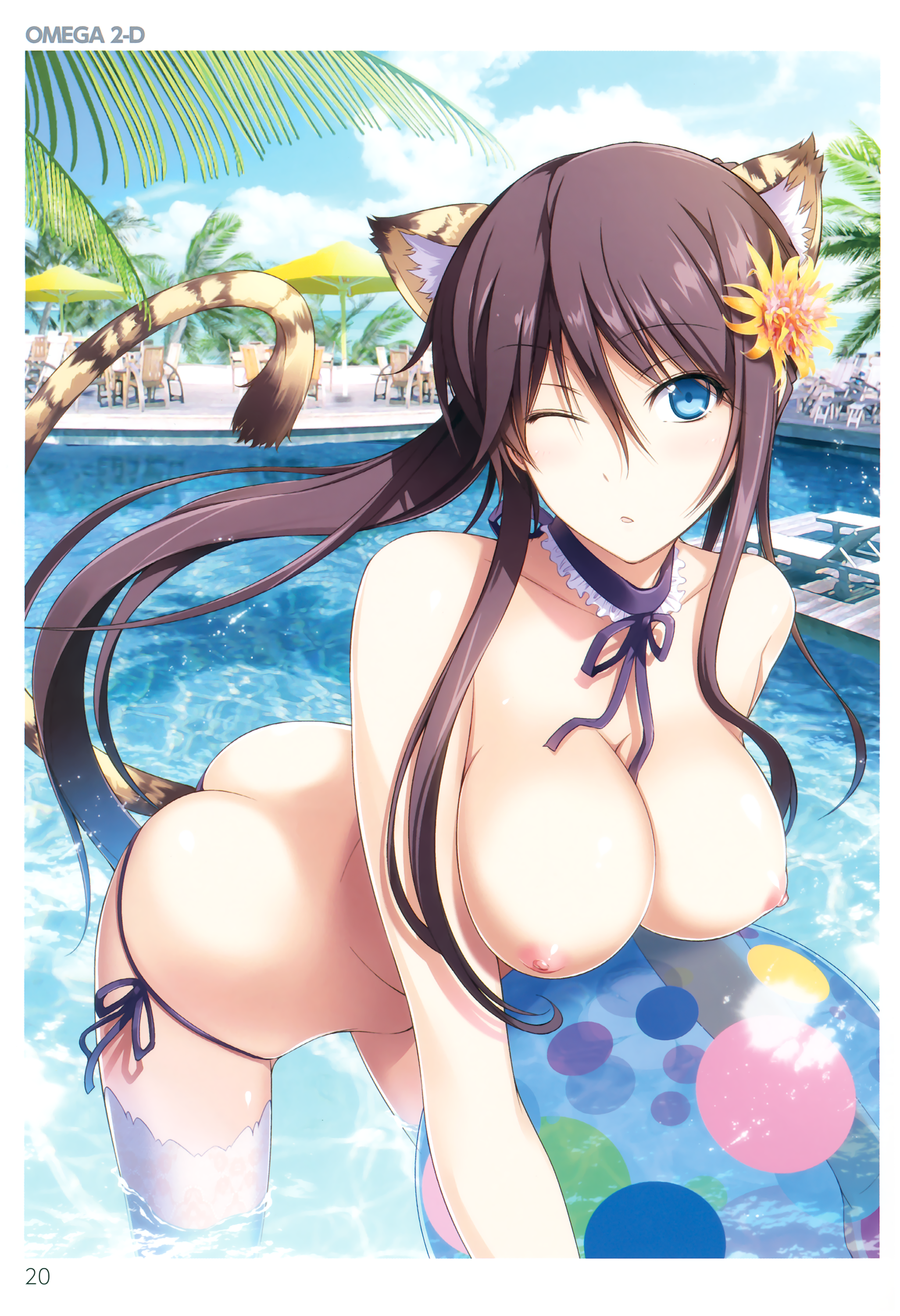 Toranoana Rule 34 Image