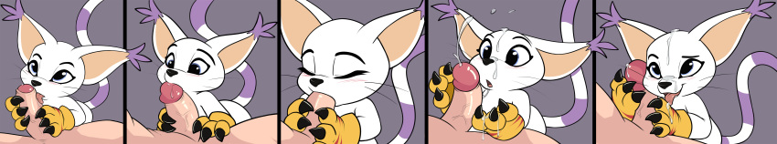 Gatomon (Digimon) Rule 34 Image