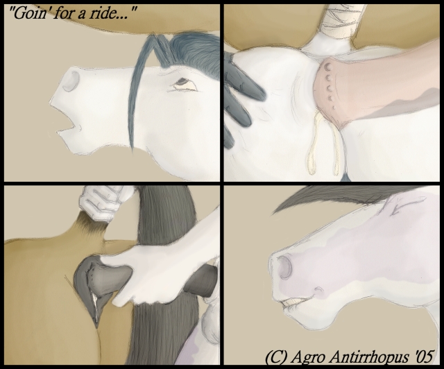 2005 Rule 34 Image