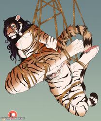 2017 Rule 34 Image