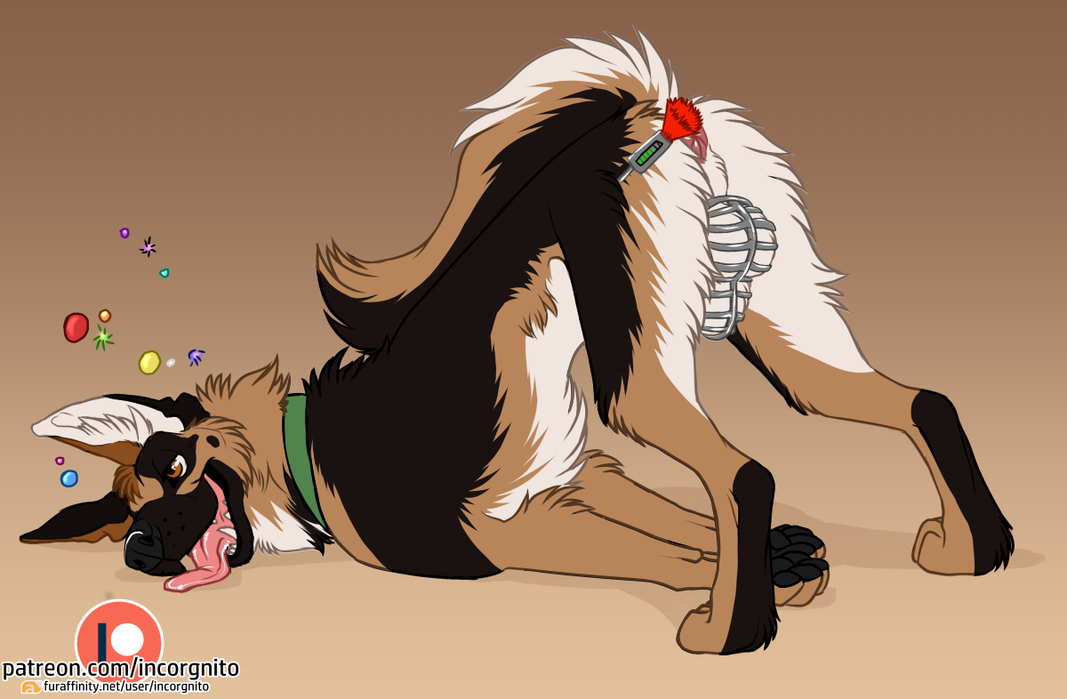 Patreon Rule 34 Image