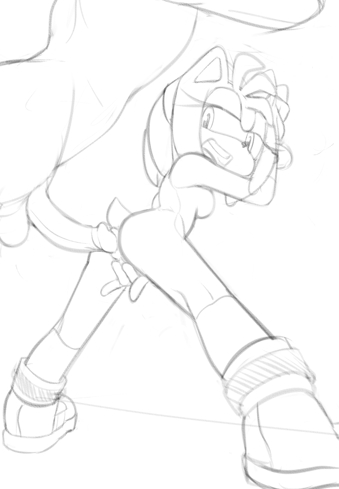Amy Rose (Sonic (Series)) Rule 34 Image