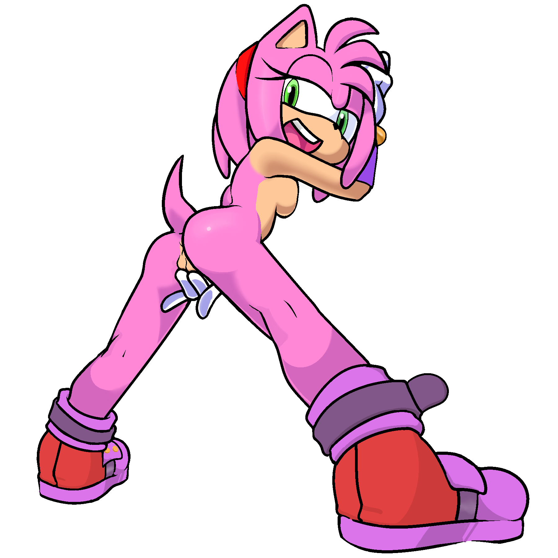 Amy Rose (Sonic (Series)) Rule 34 Image