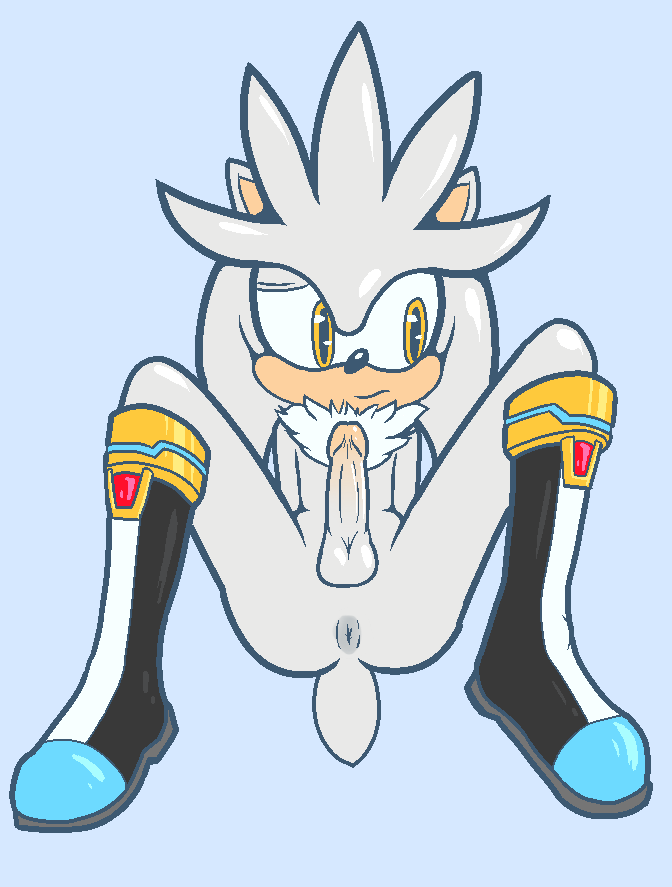 Silver The Hedgehog (Sonic (Series)) Rule 34 Image