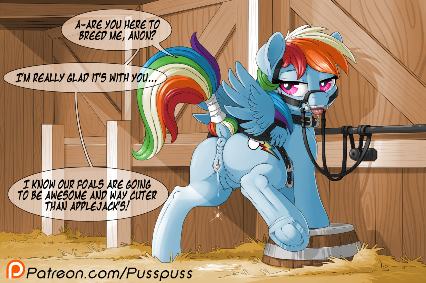 Rainbow Dash (Mlp) Rule 34 Image