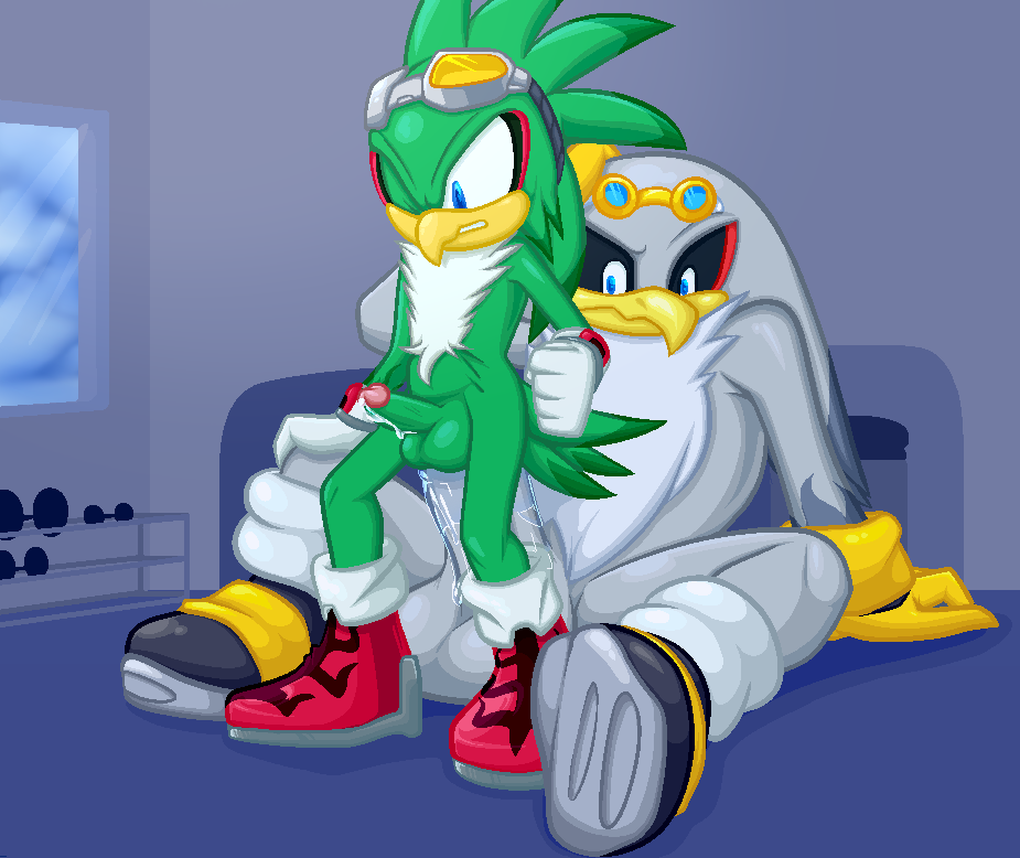 Jet The Hawk (Sonic (Series)) Rule 34 Image