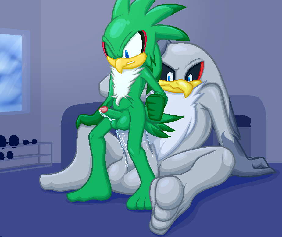 Jet The Hawk (Sonic (Series)) Rule 34 Image