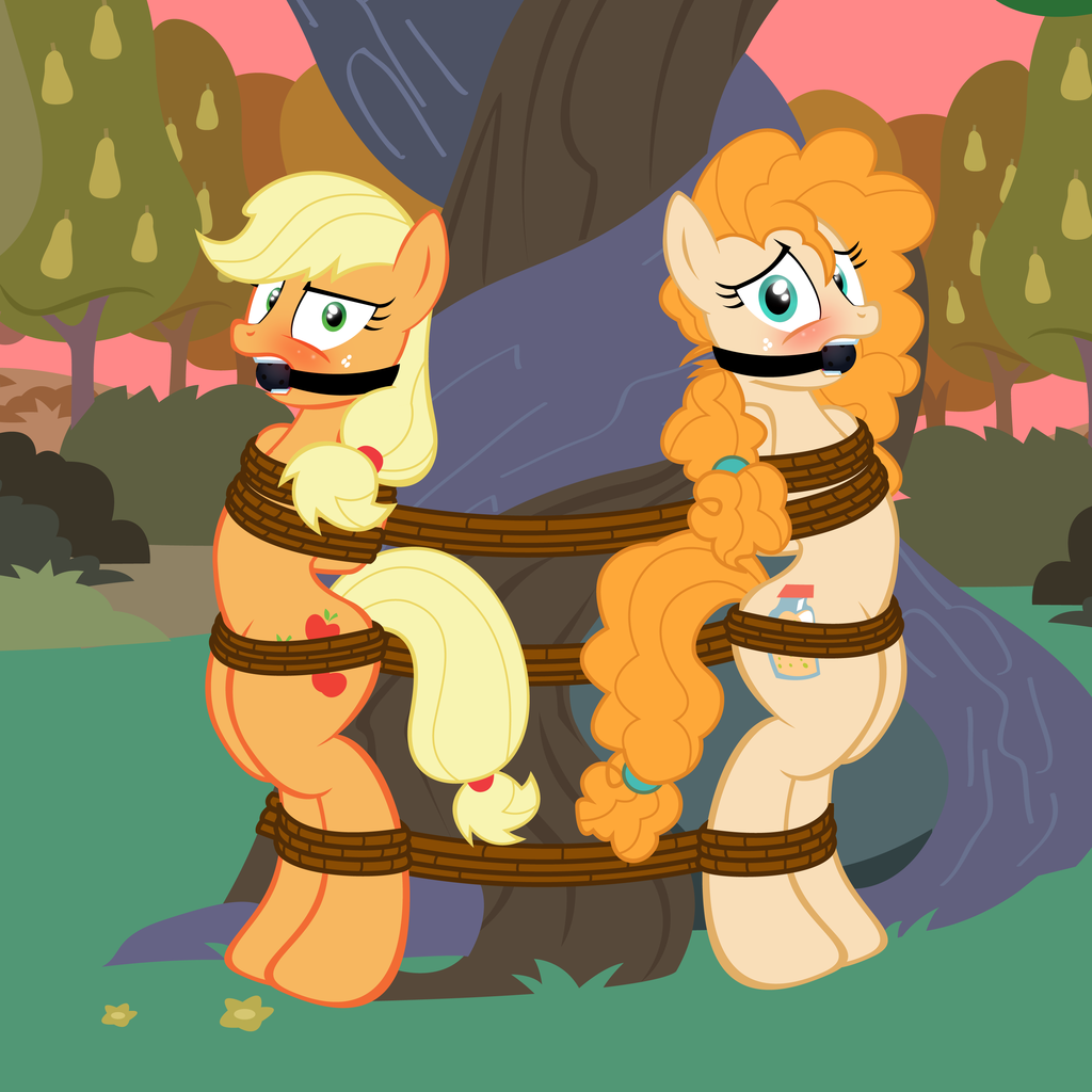 Applejack (Mlp) Rule 34 Image