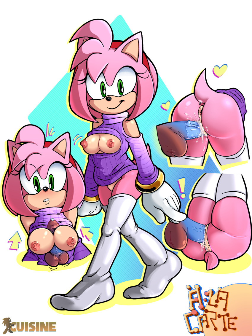Sonic (Series) Rule 34 Image