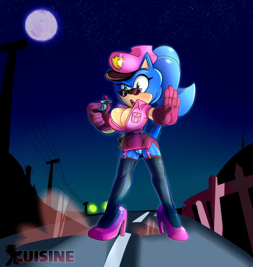 Sonic The Hedgehog (Sega) Rule 34 Image