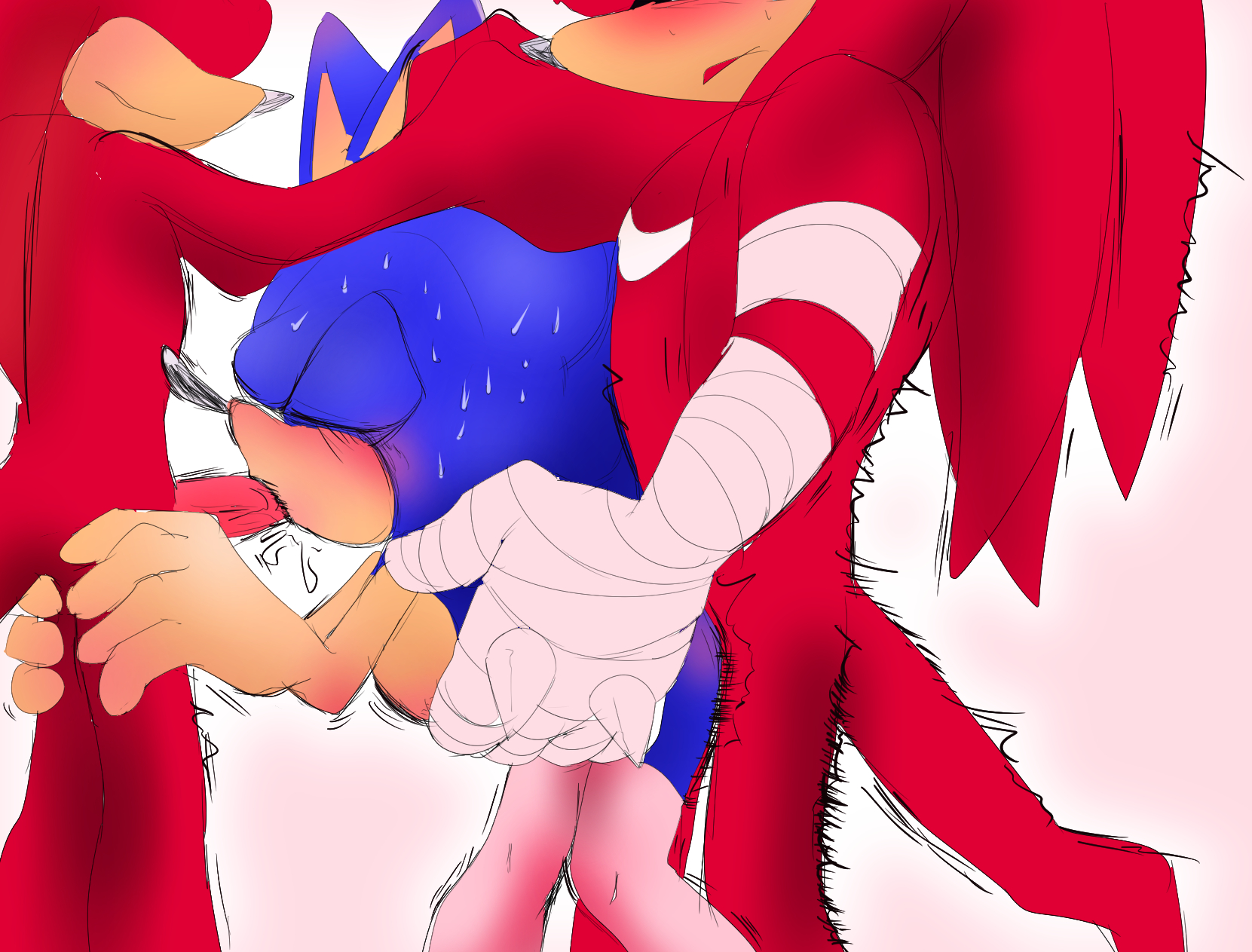 Knuckles (Boom) Rule 34 Image