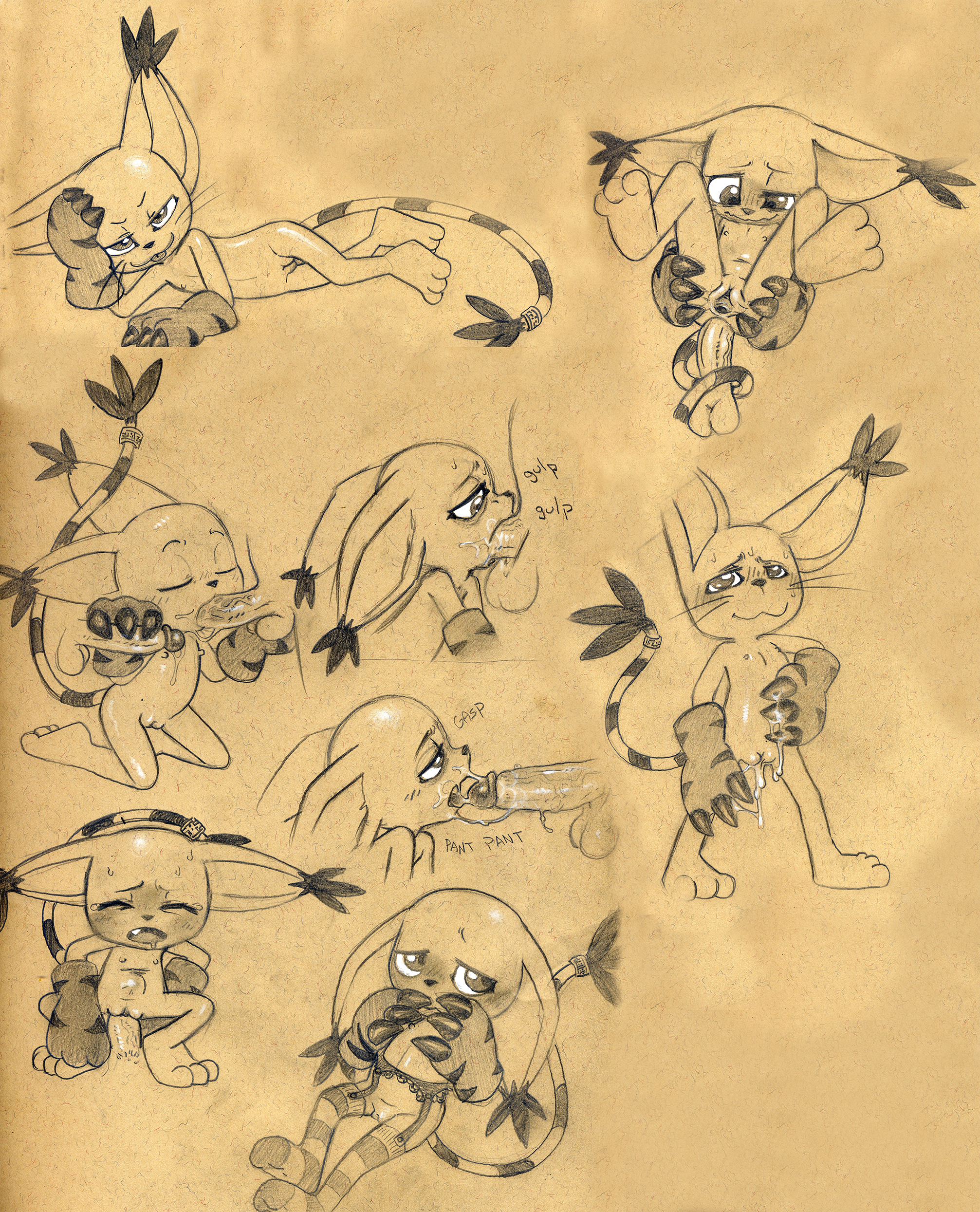 Gatomon (Digimon) Rule 34 Image