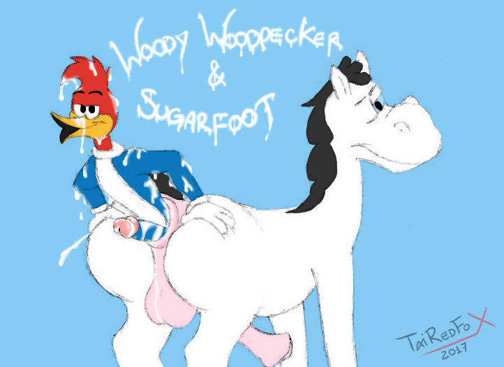 Woody Woodpecker (The Woody Woodpecker Show) Rule 34 Image