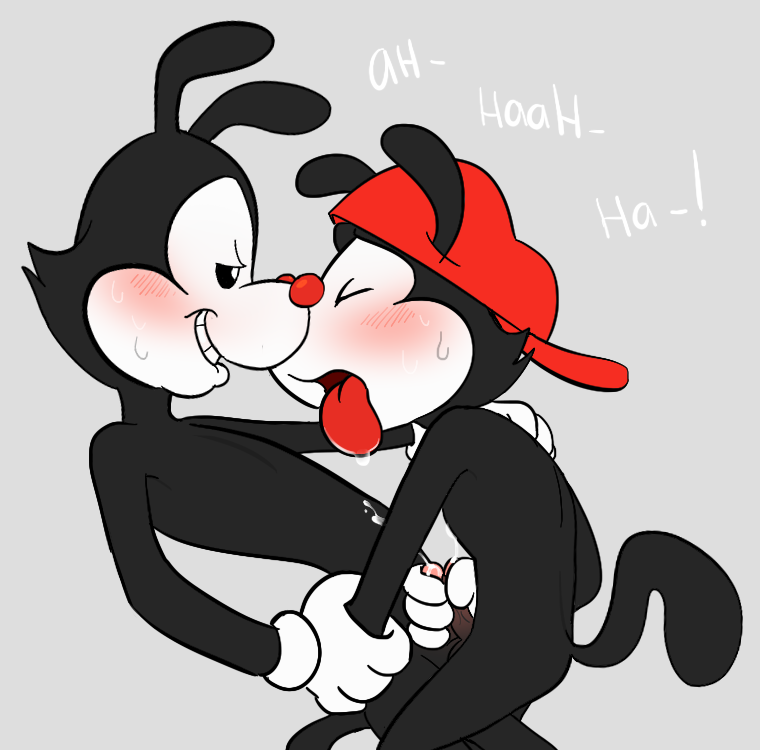Wakko Warner (Animaniacs) Rule 34 Image