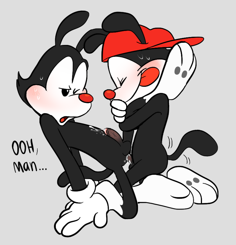 Wakko Warner (Animaniacs) Rule 34 Image