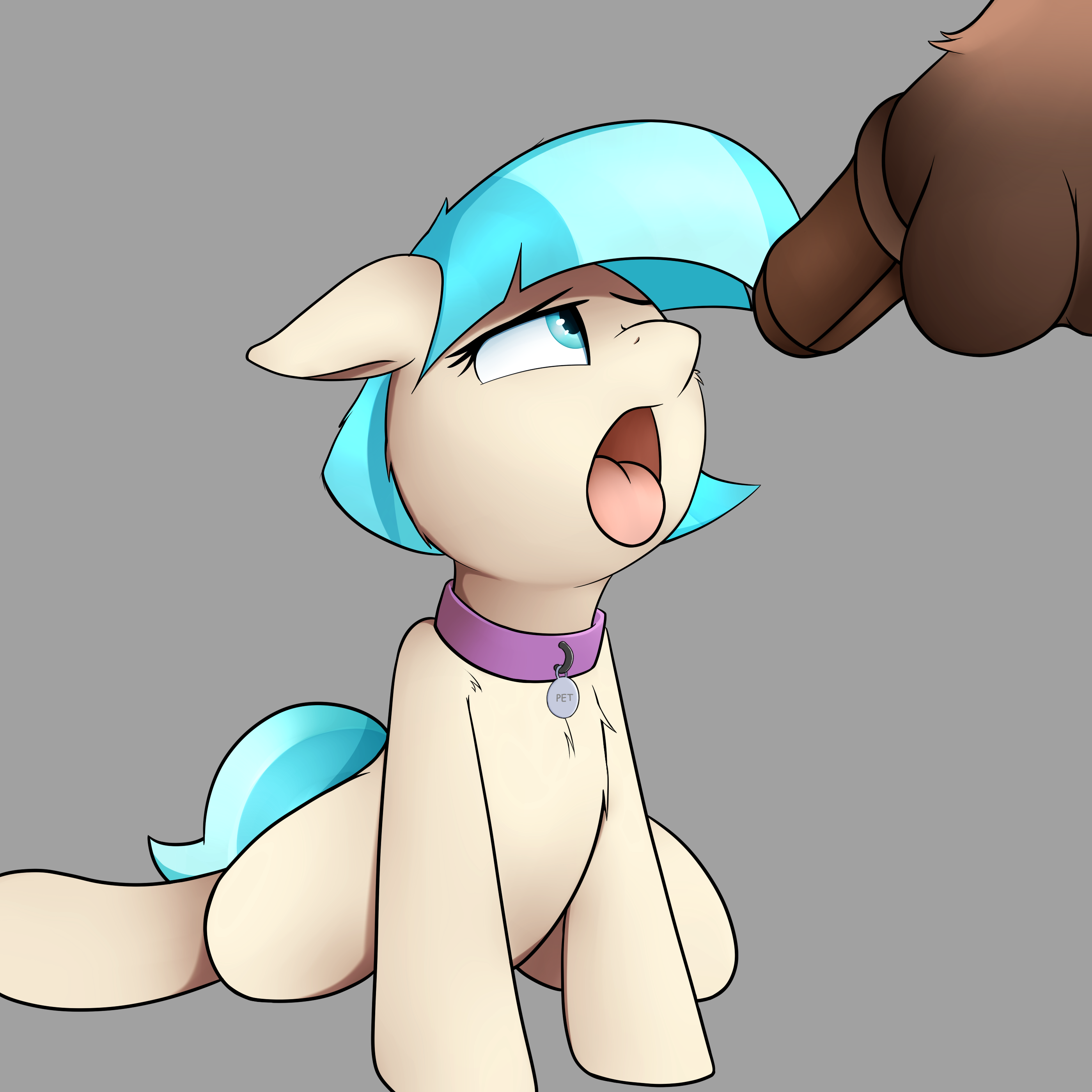 Coco Pommel (Mlp) Rule 34 Image