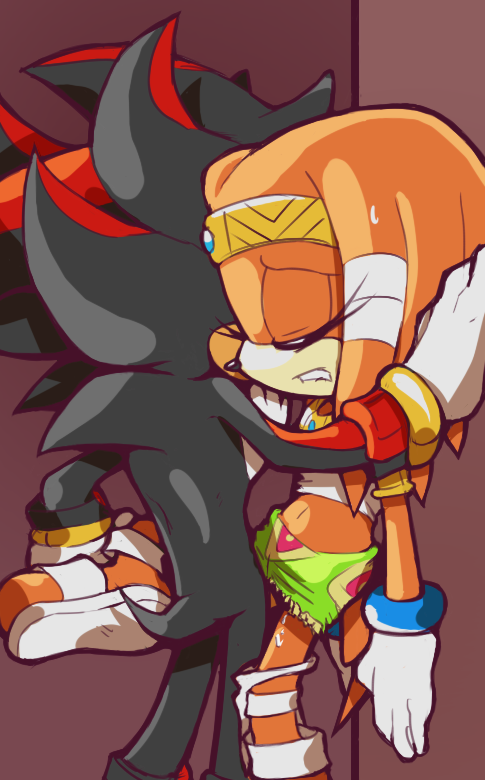 Shadow The Hedgehog (Sega) Rule 34 Image