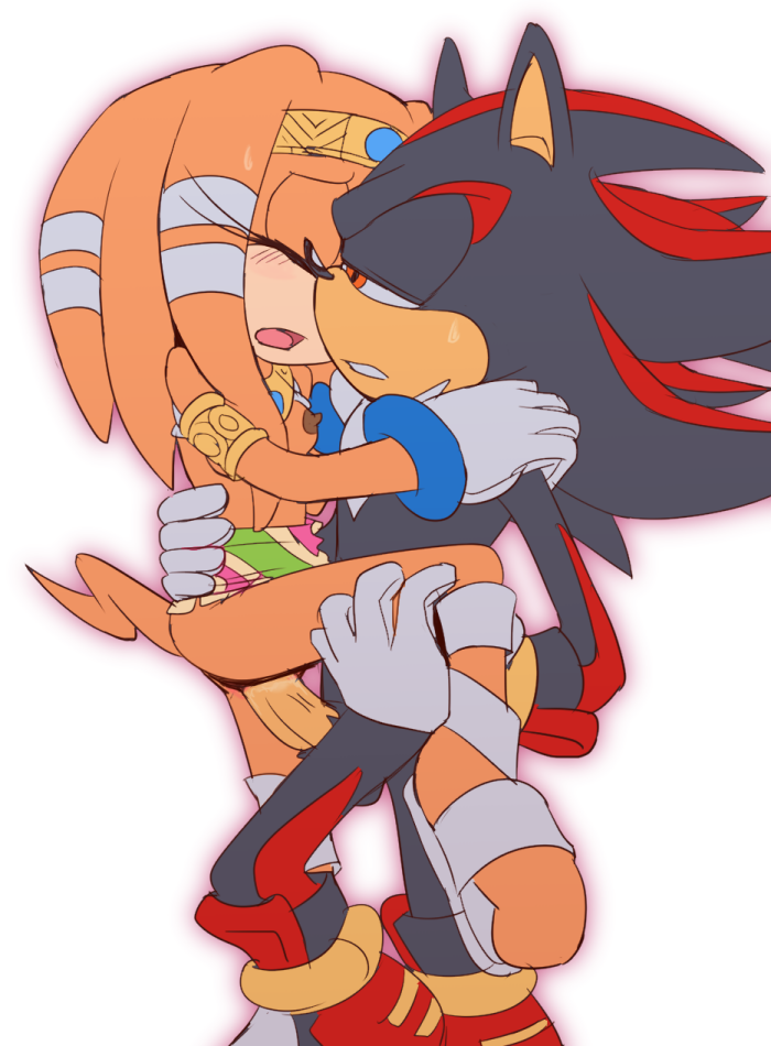 Shadow The Hedgehog (Sega) Rule 34 Image