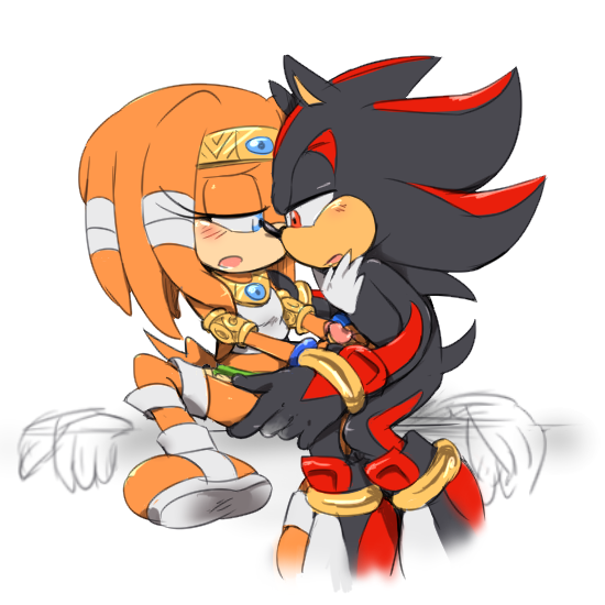 Shadow The Hedgehog (Sonic (Series)) Rule 34 Image