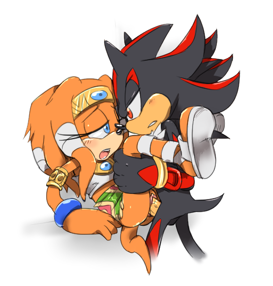 Shadow The Hedgehog (Sega) Rule 34 Image