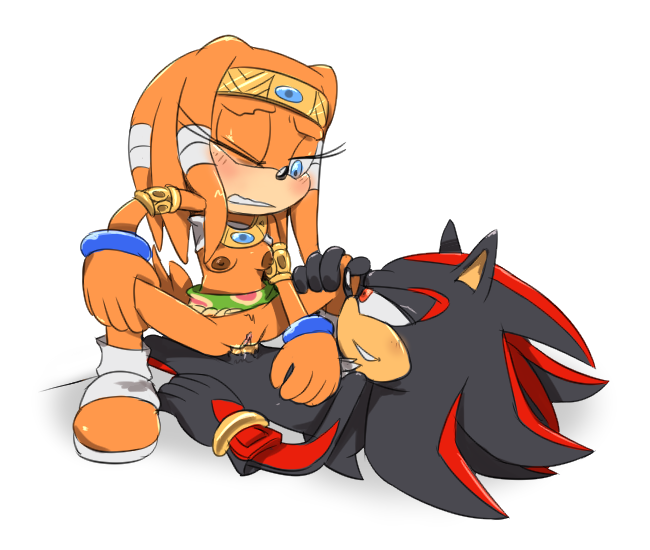 Shadow The Hedgehog (Sonic (Series)) Rule 34 Image