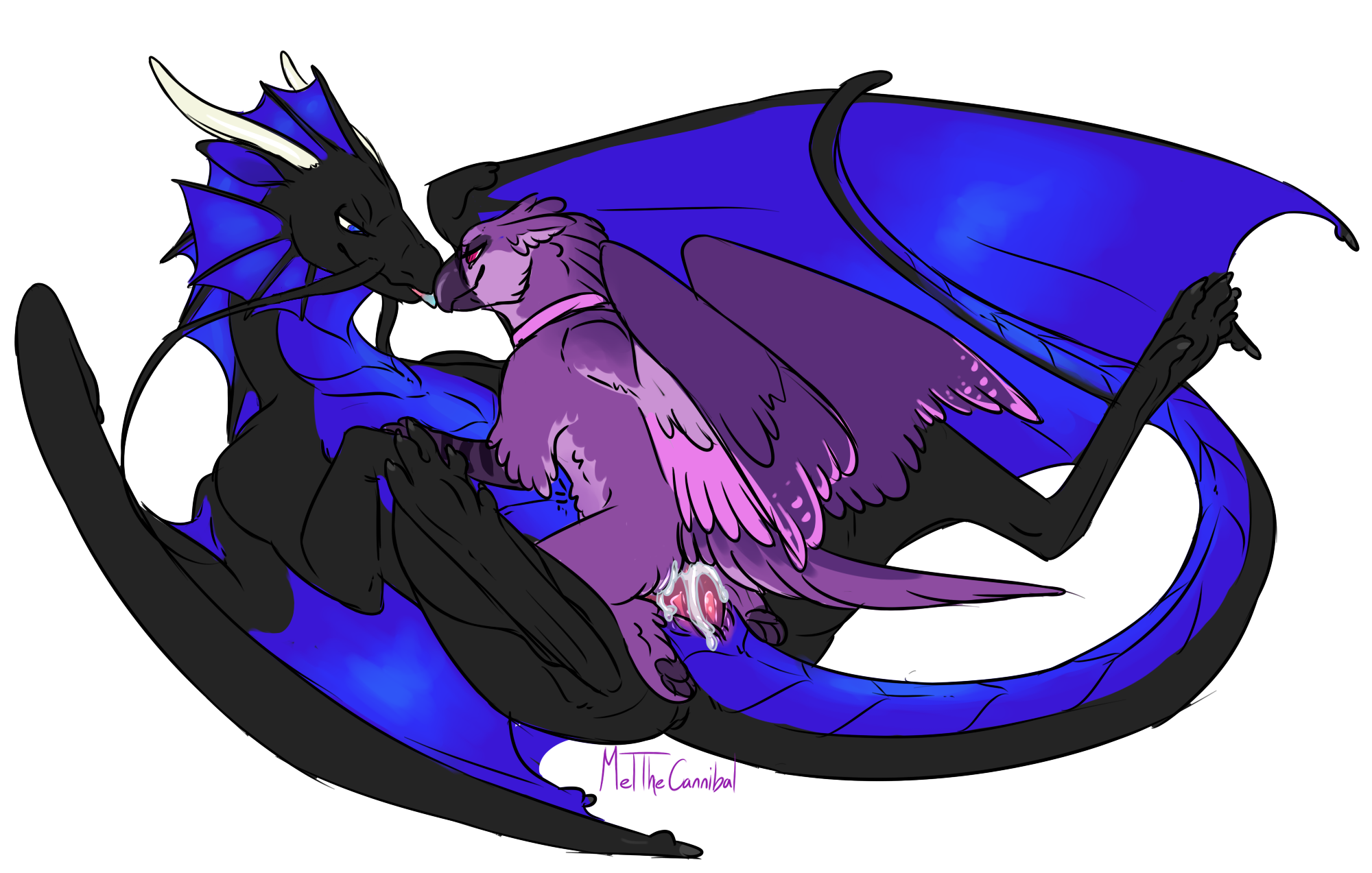 Arith (Arith The Gryphon) Rule 34 Image