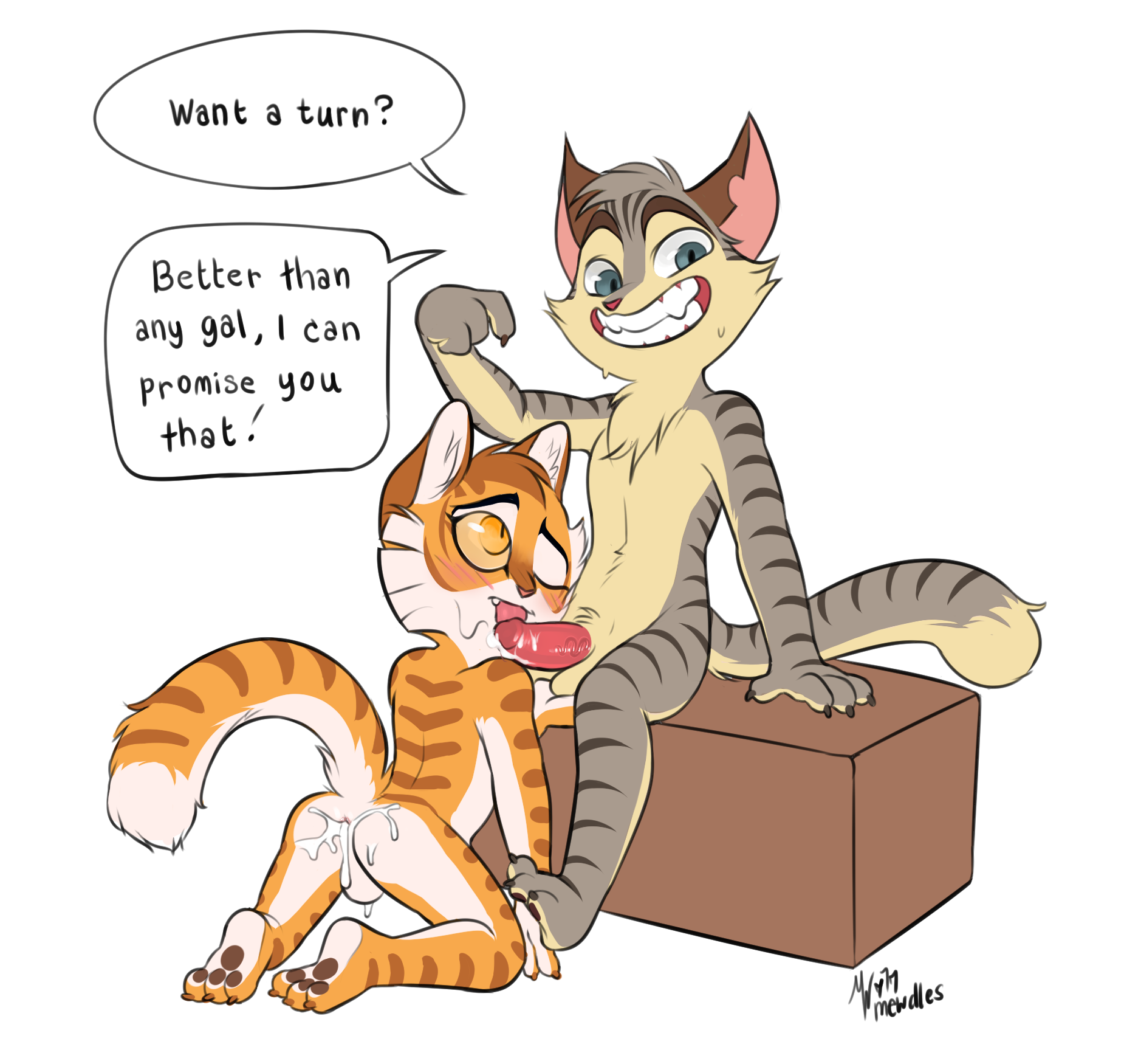 Calvin (Lackadaisy) Rule 34 Image