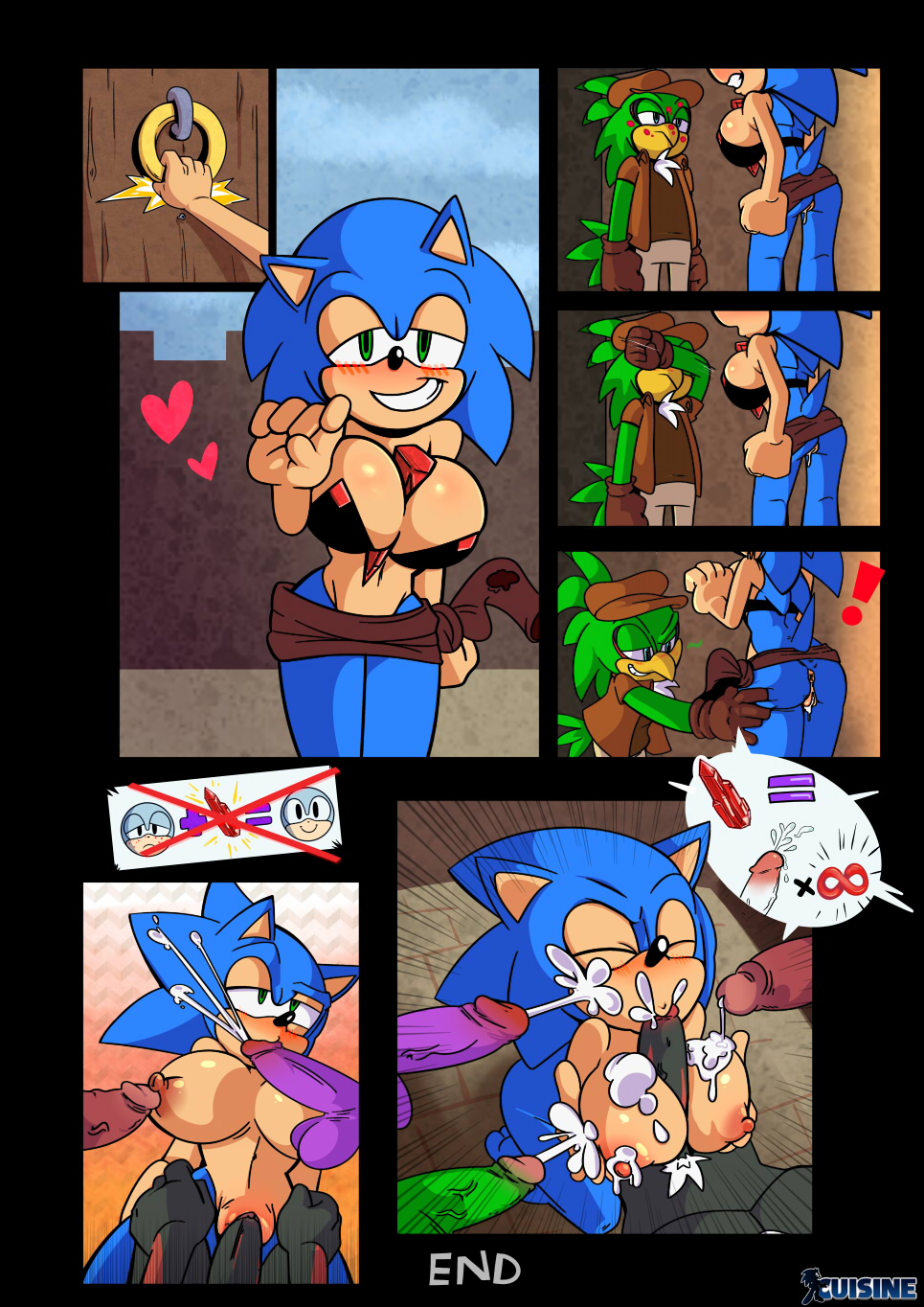 Jet The Hawk (Sonic (Series)) Rule 34 Image