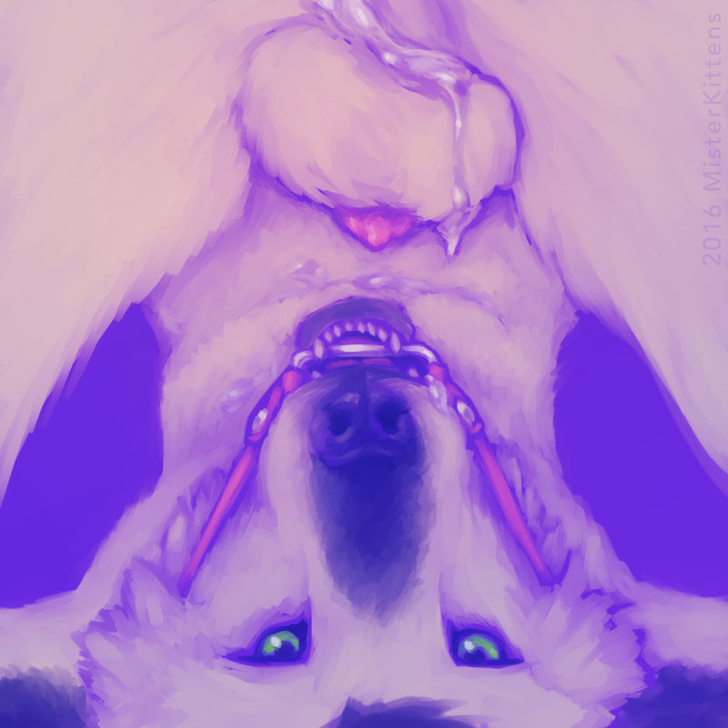 2016 Rule 34 Image