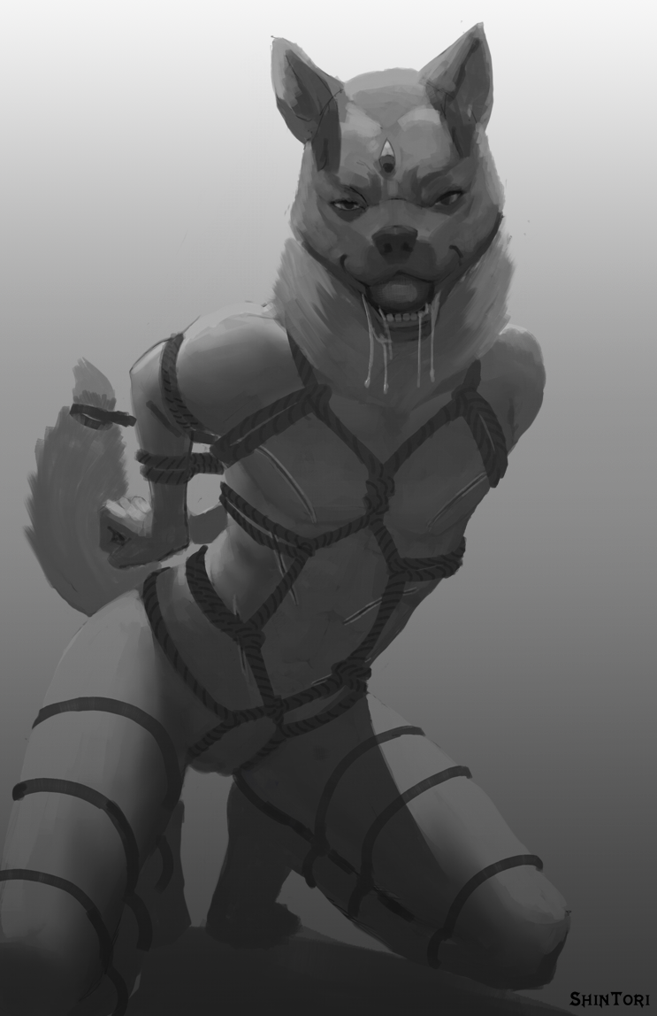 Anthro Rule 34 Image