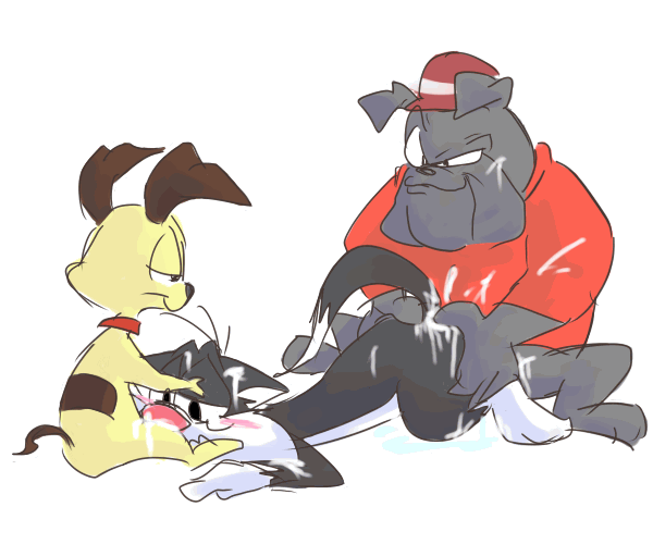 Sylvester (Looney Tunes) Rule 34 Image