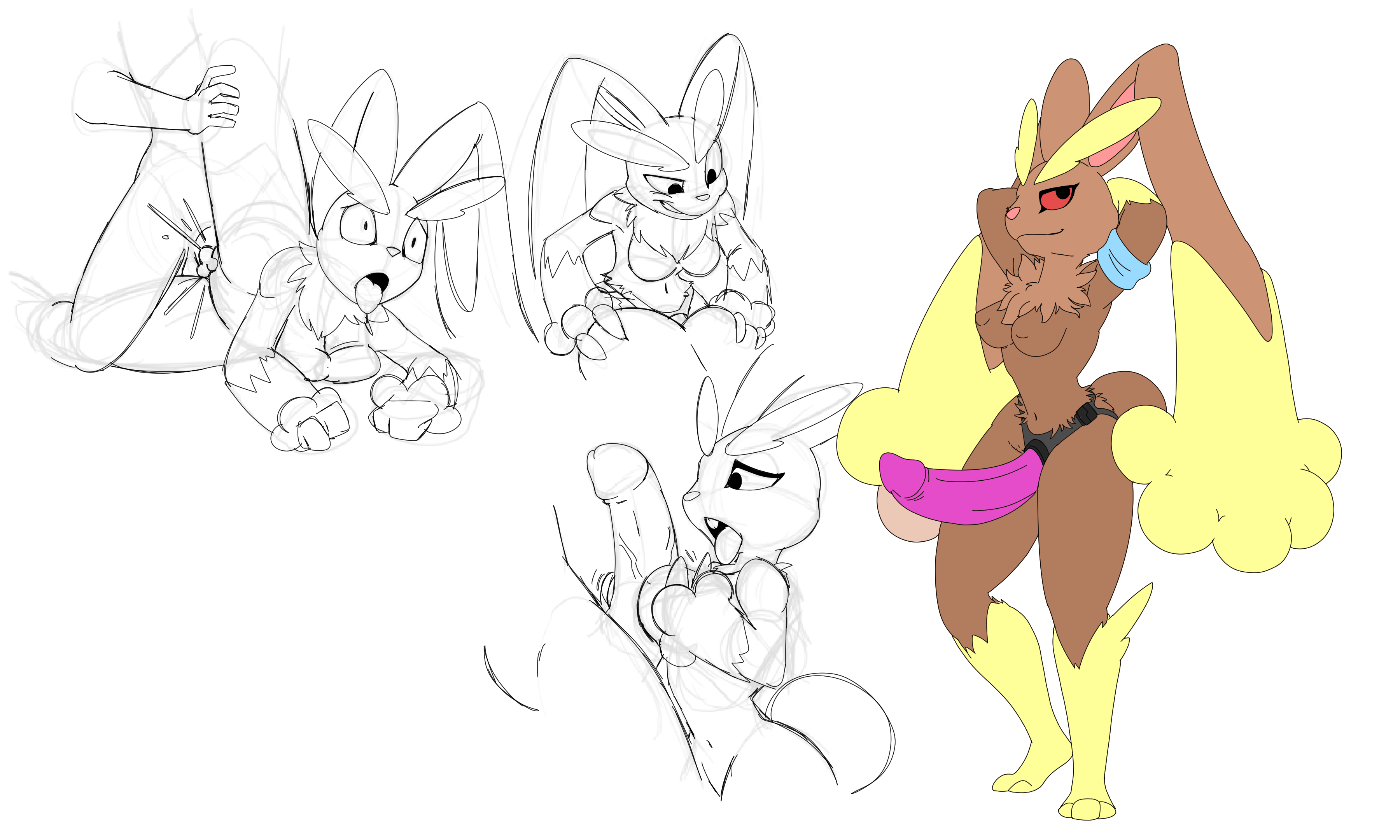 Lopunny (Nintendo) Rule 34 Image