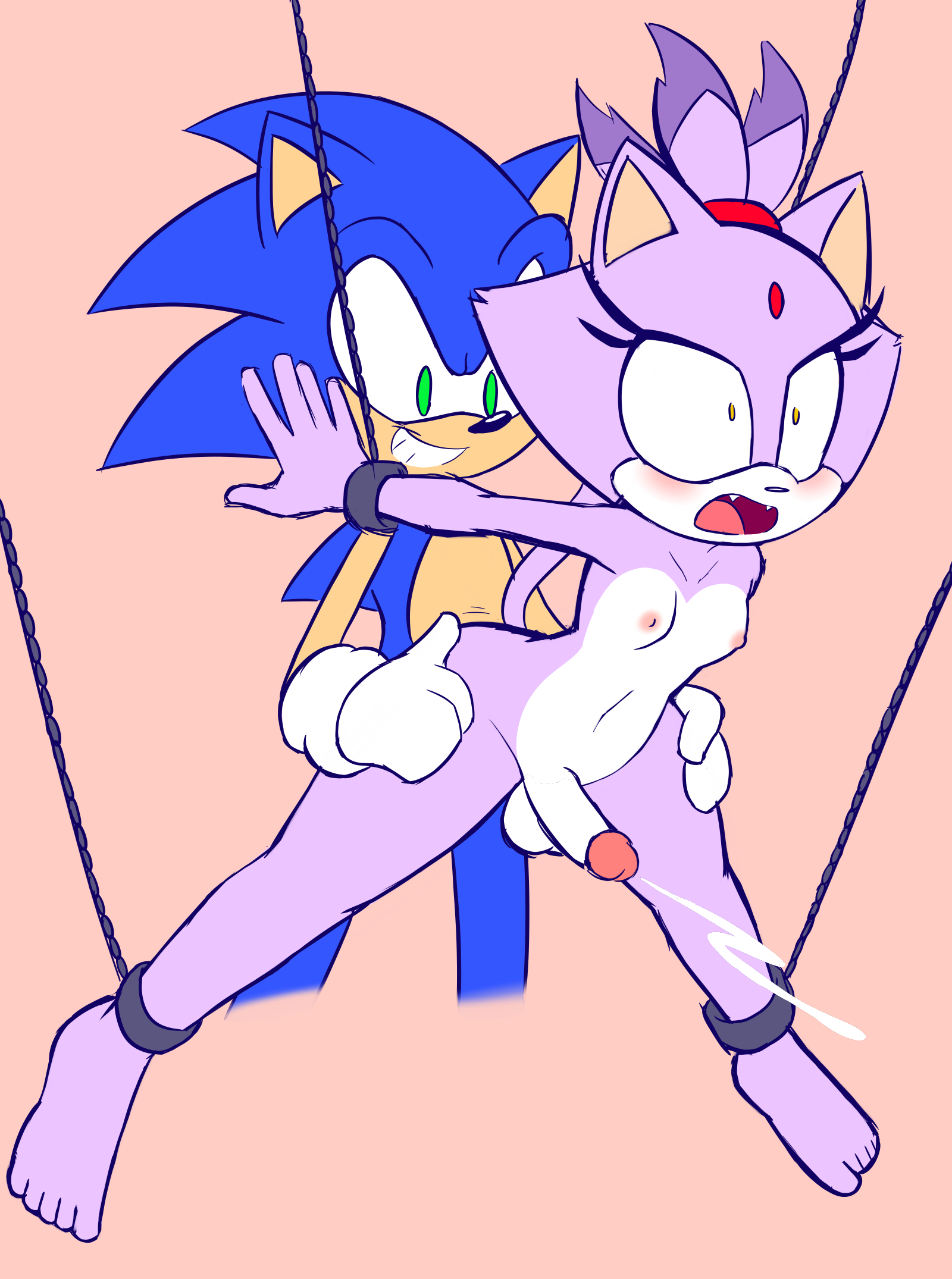 Blaze The Cat (Sonic (Series)) Rule 34 Image