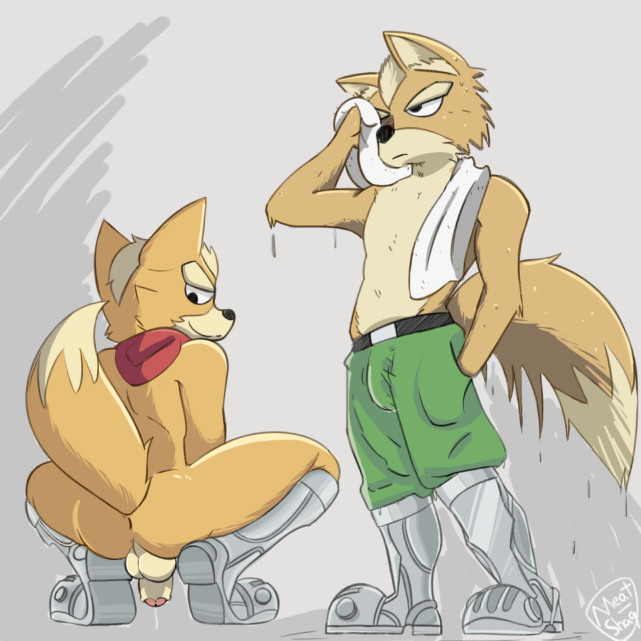 Fox Mccloud (Nintendo) Rule 34 Image