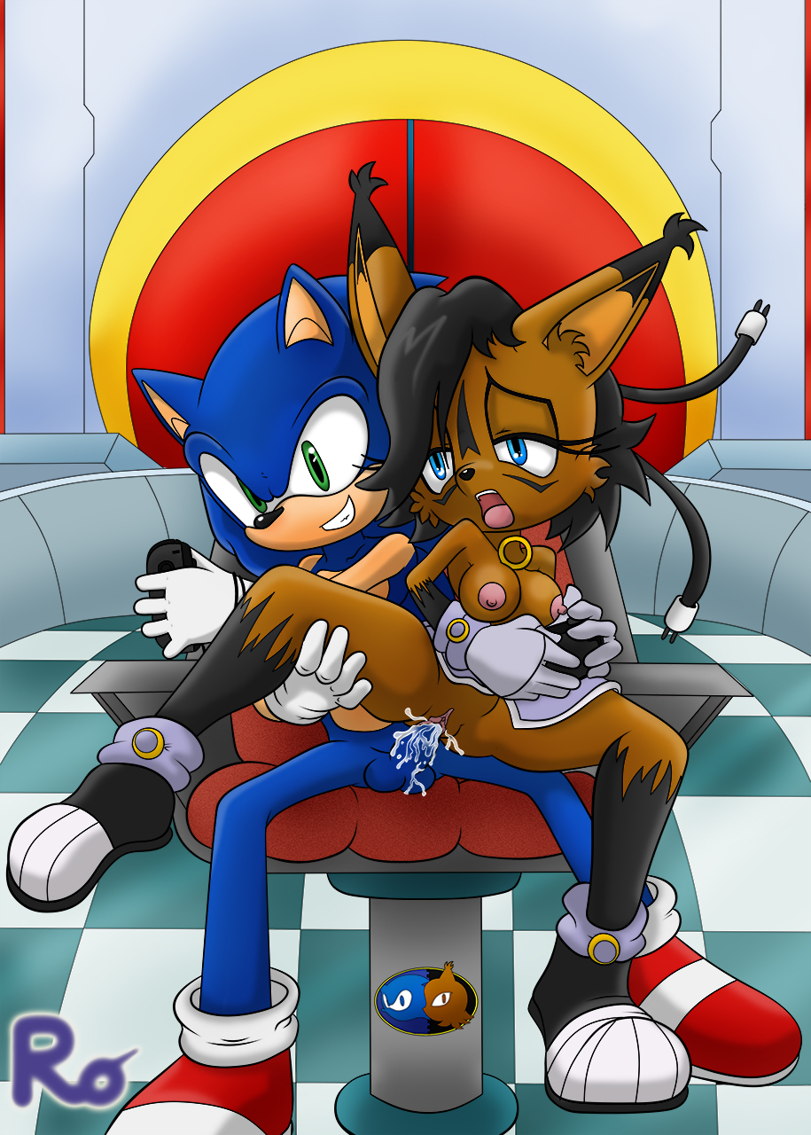 Nicole The Lynx (Sonic (Series)) Rule 34 Image
