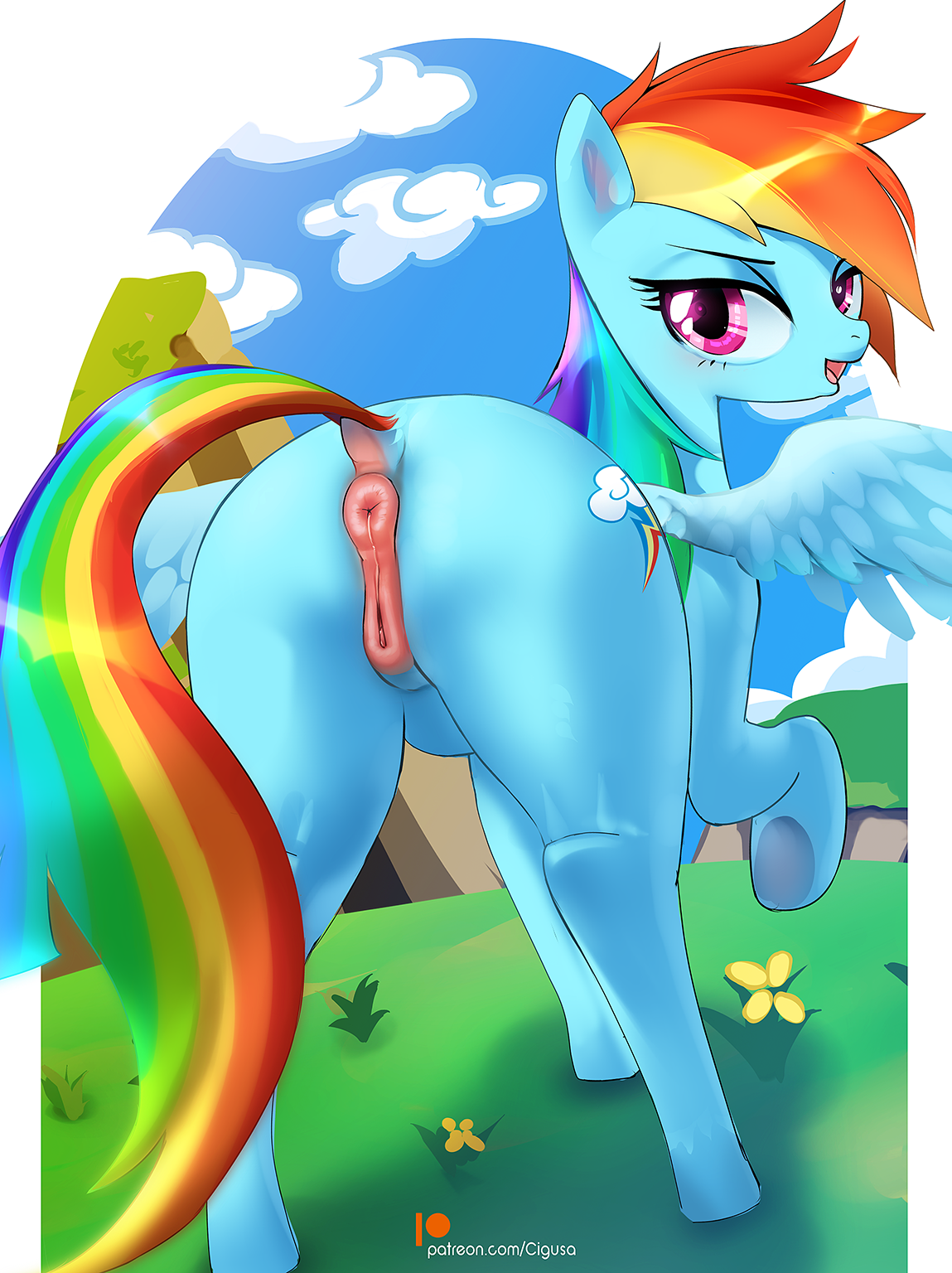 Rainbow Dash (Mlp) Rule 34 Image